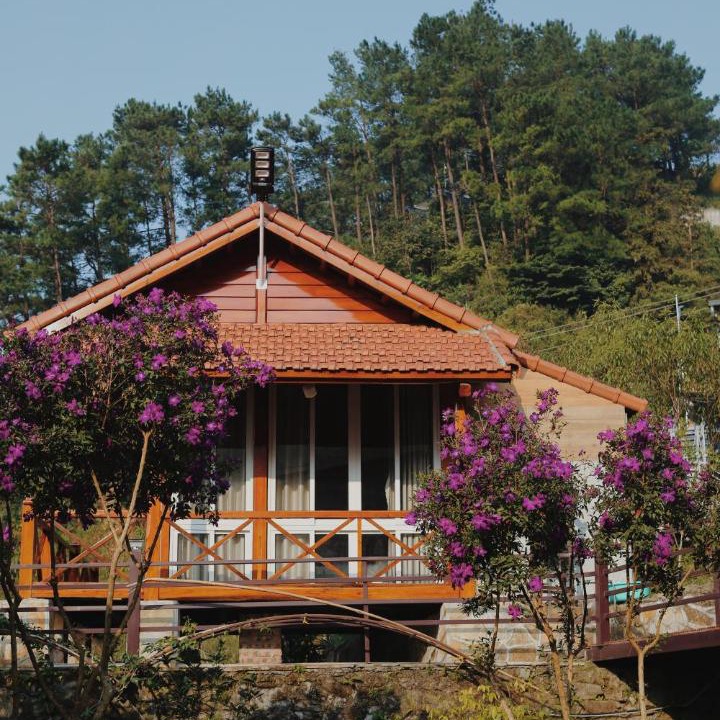 Photo of Others in Tam Dao