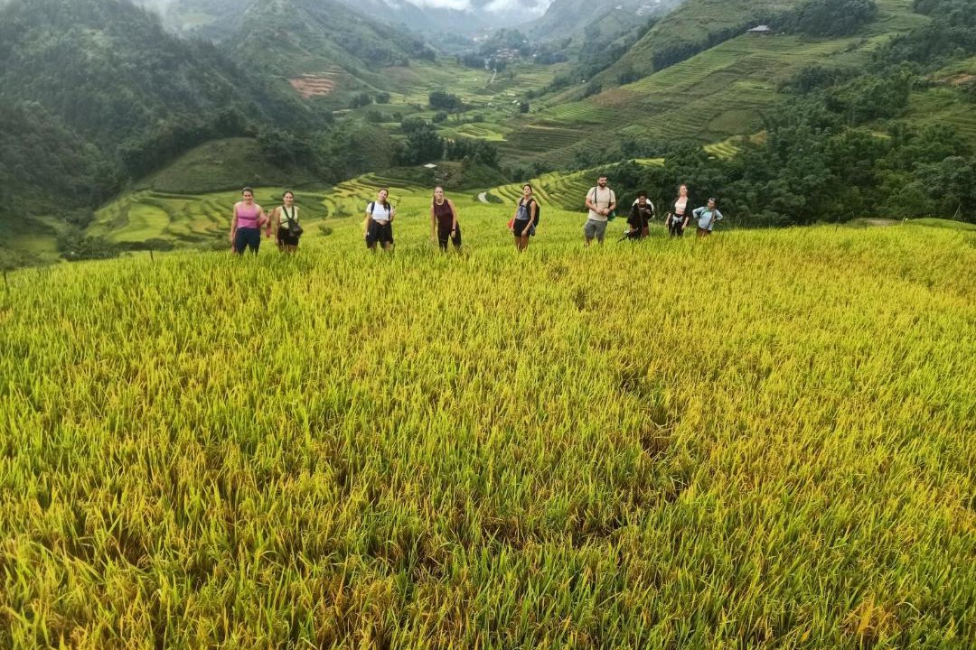 Photo of Others in Hau Thao