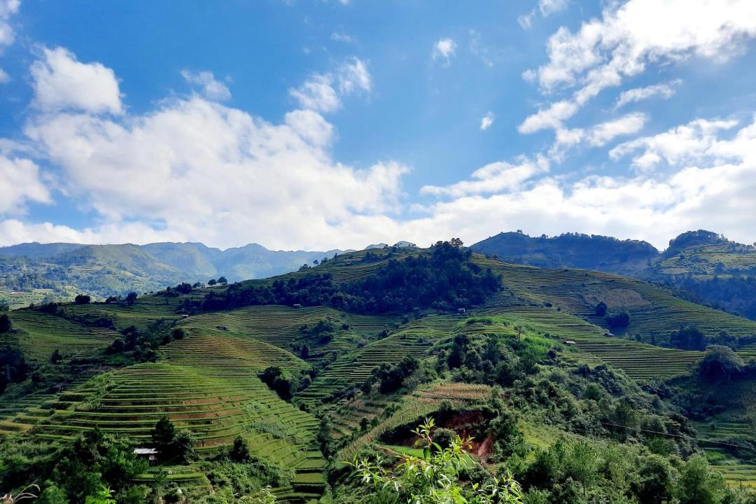 Photo of Others in Mu Cang Chai