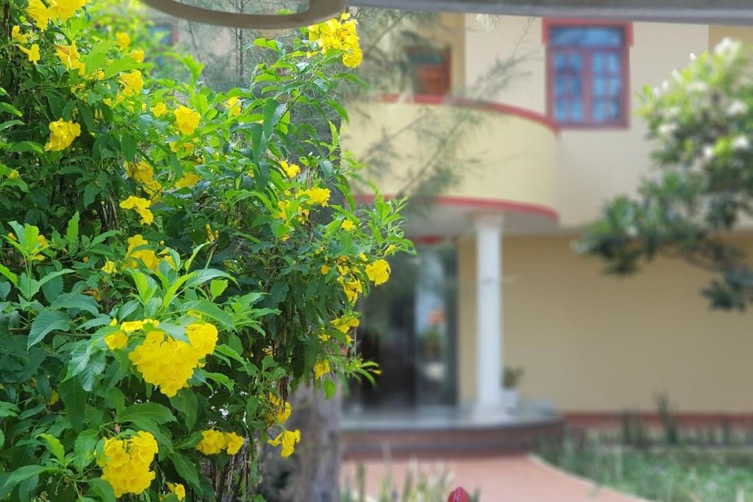 Photo of Others in Tuy Phong