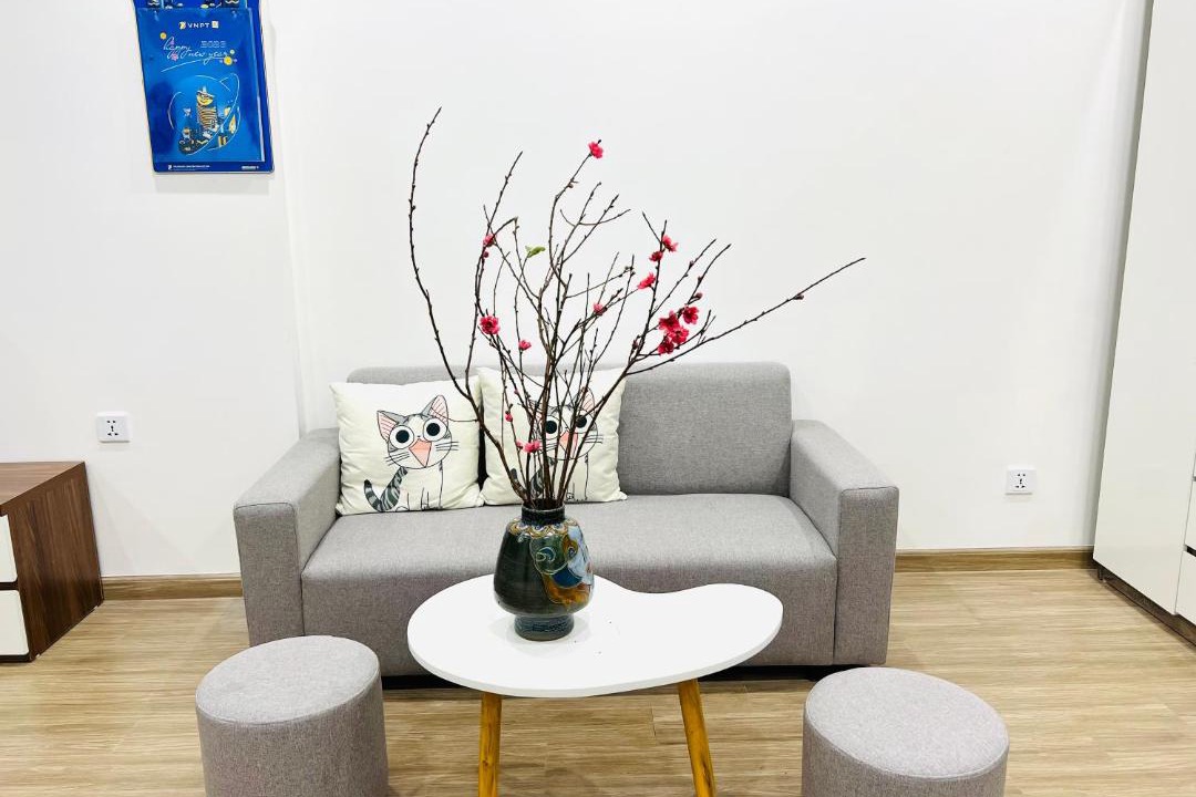 Photo of Livingroom in Tu Liem