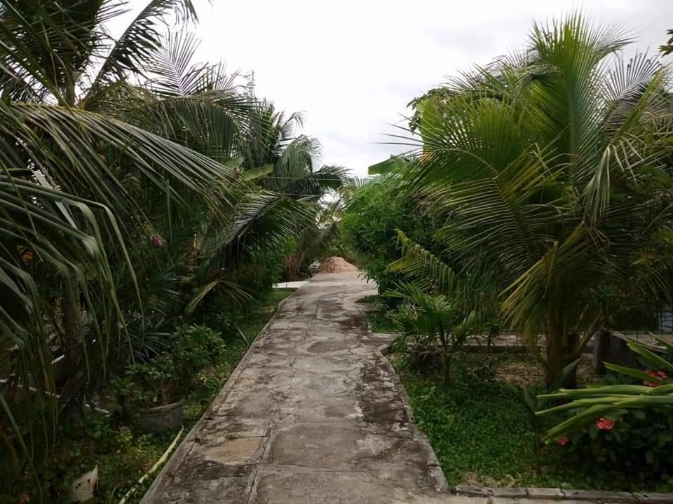 Photo of Others in Central Mui Ne Beach
