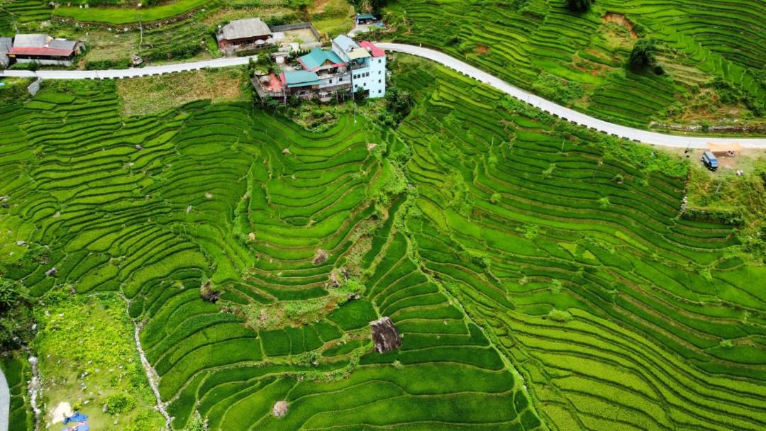Photo of Others in Hau Thao