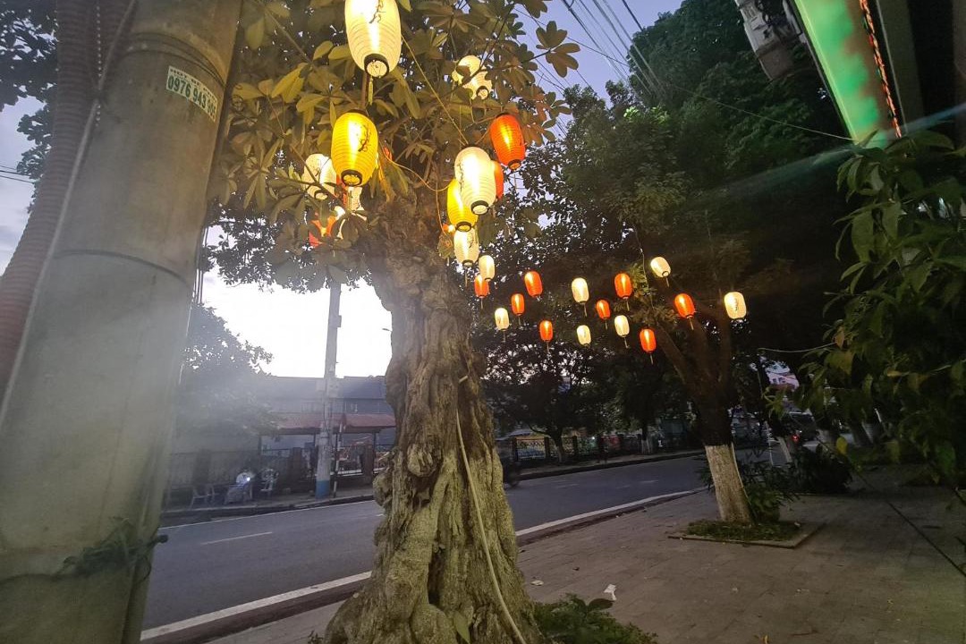 Photo of Others in Lao Cai