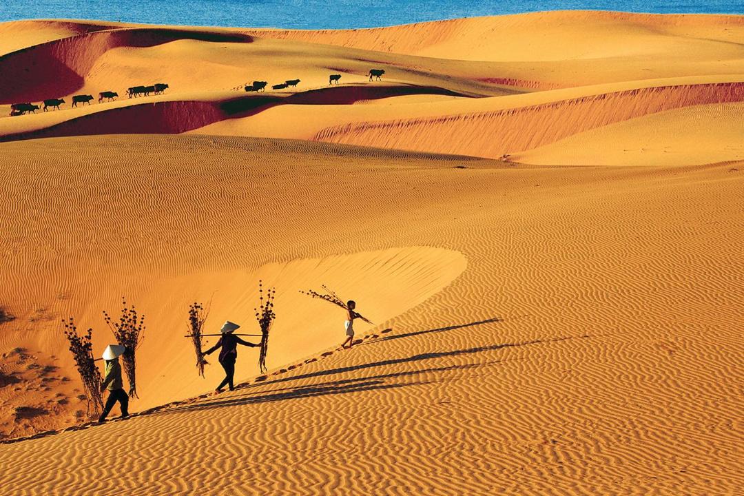 Photo of Others in Phan Thiet