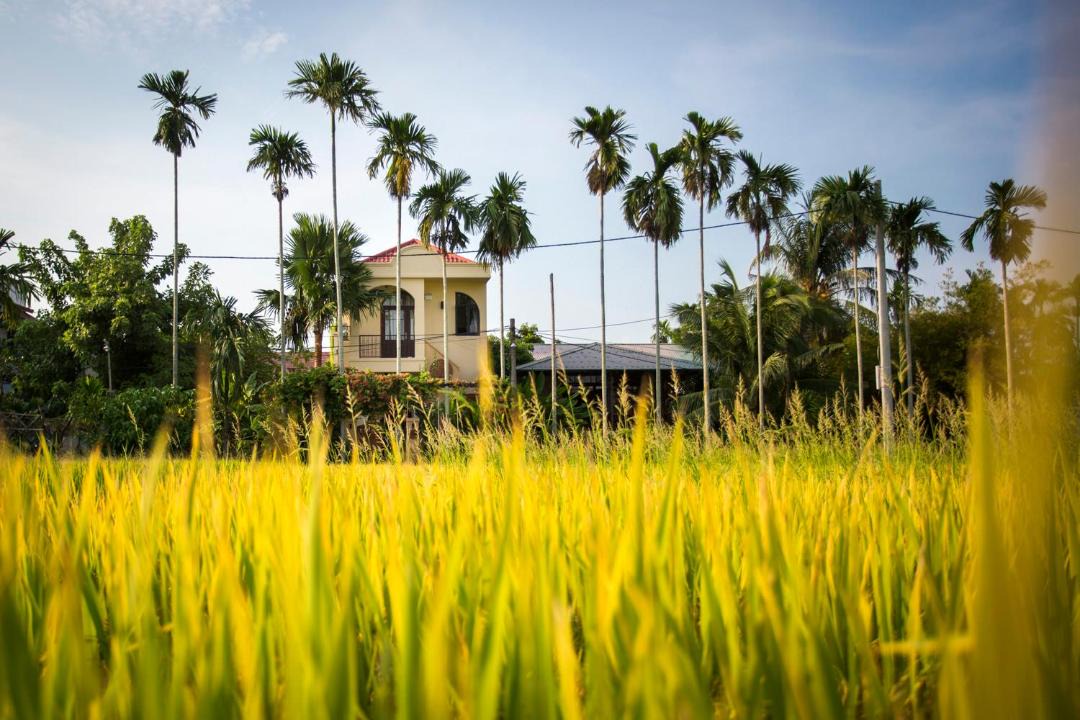 Photo of Others in Cam Thanh