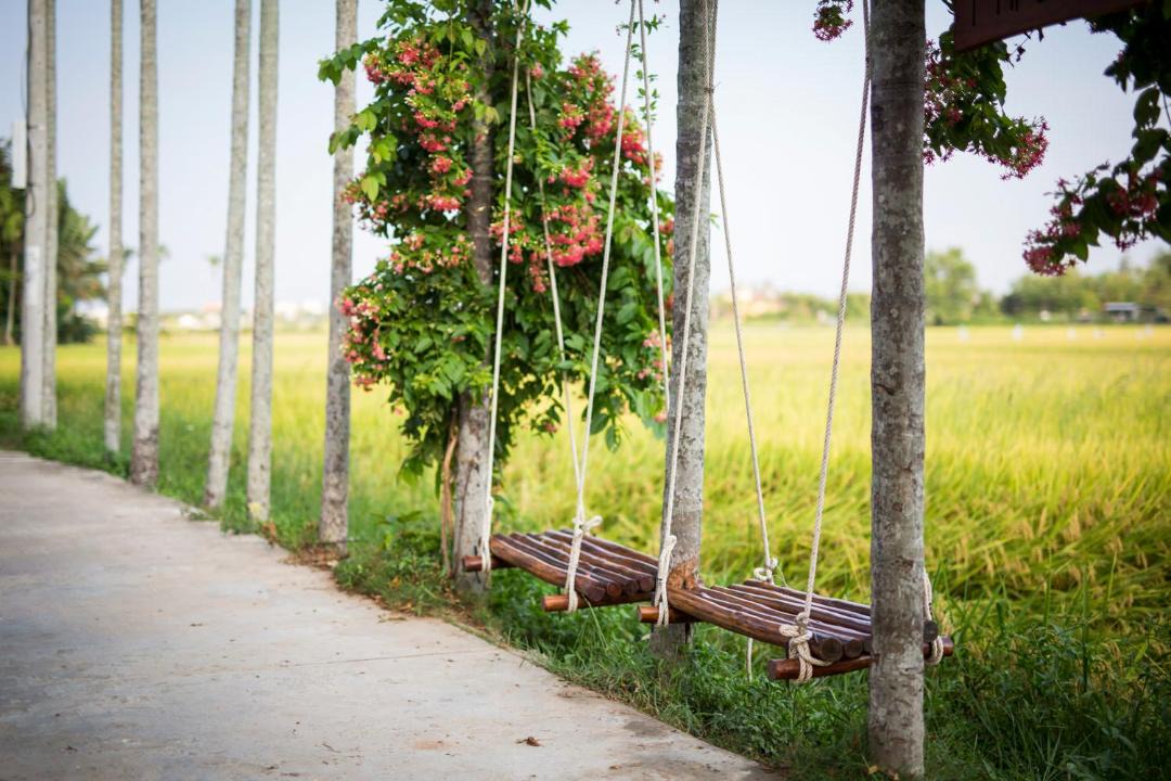 Photo of Others in Cam Thanh