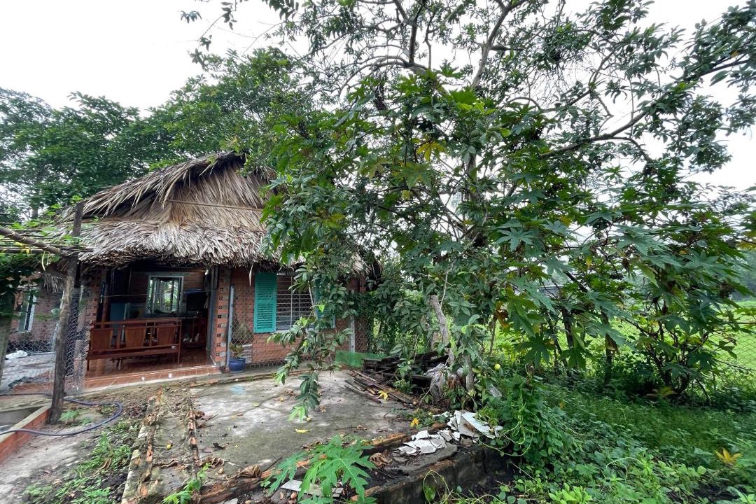 Photo of Buildings in Ben Cau