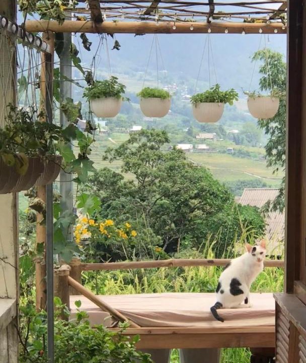 Photo of Others in Sa Pa