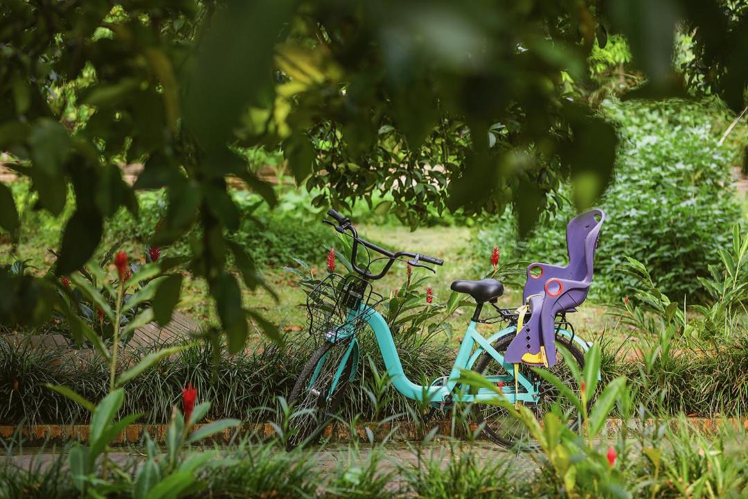 Photo of Outdoor in Hue