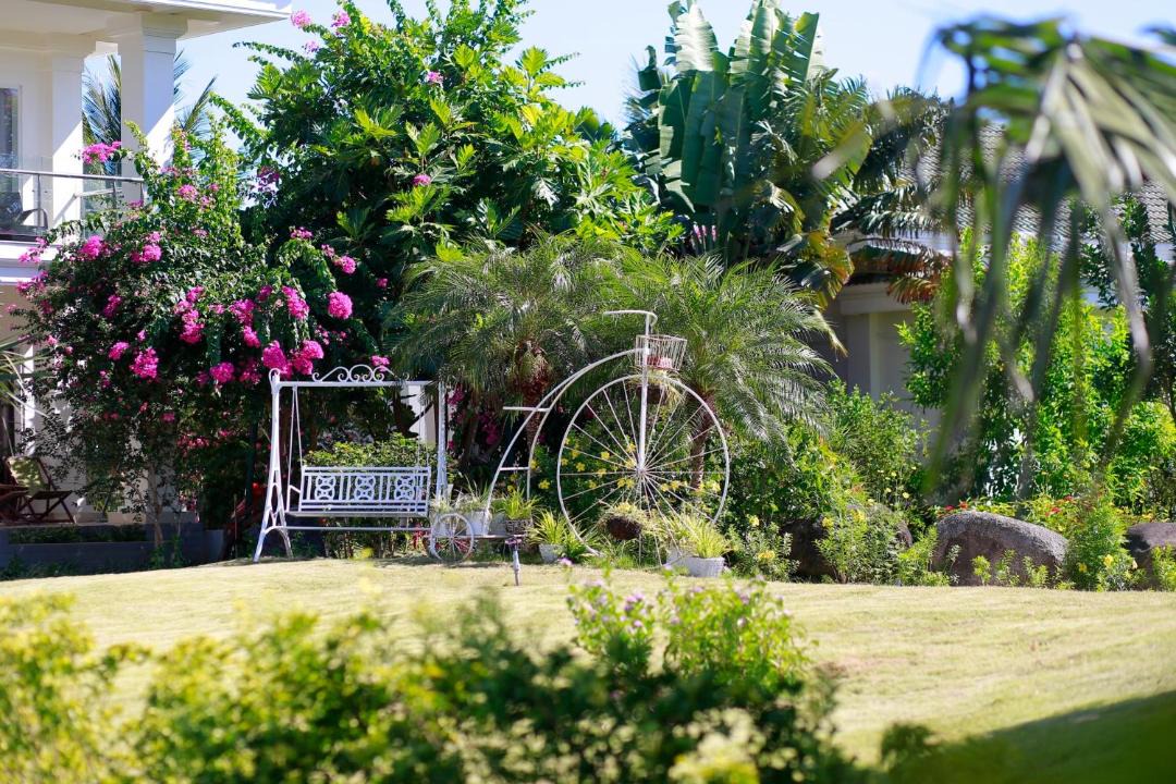 Photo of Others in Bao Ninh