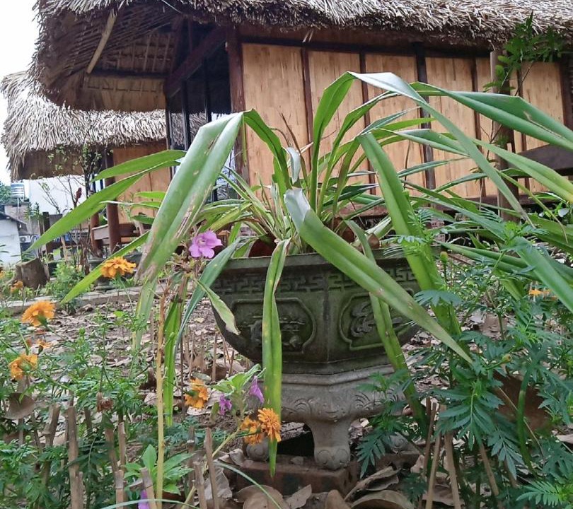 Photo of Others in Chiem Hoa