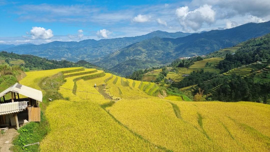 Photo of Others in Ta Su Choong