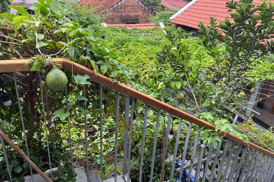 Photo of Patio Balcony in Son Tay