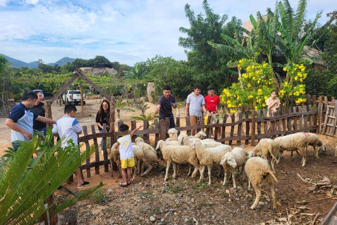 Photo of Others in Thuan Nam