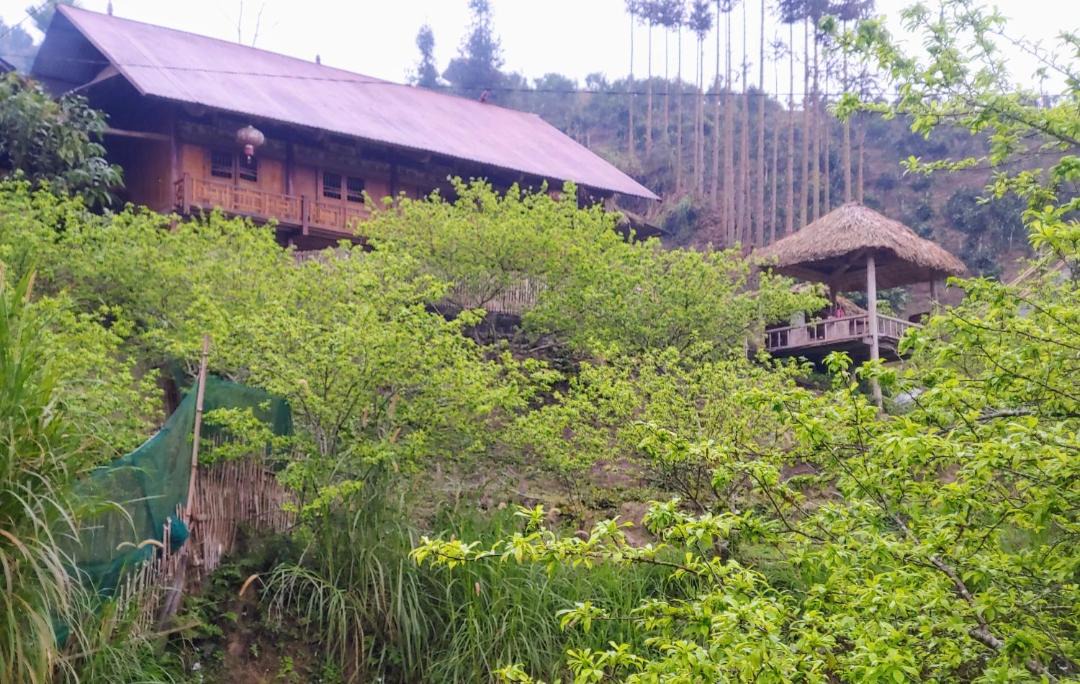 Photo of Others in Bac Ha