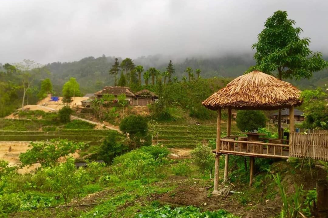 Photo of Others in Bac Ha