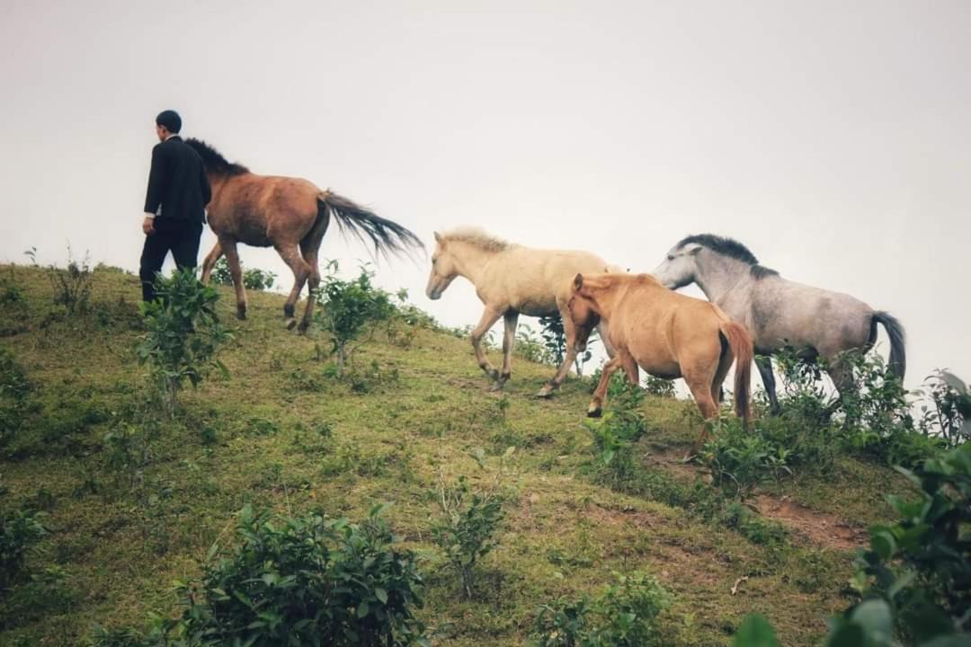 Photo of Others in Bac Ha