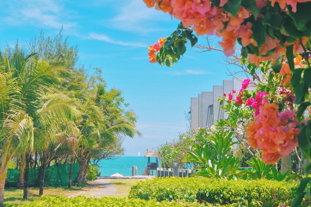 Photo of Others in Long Hai