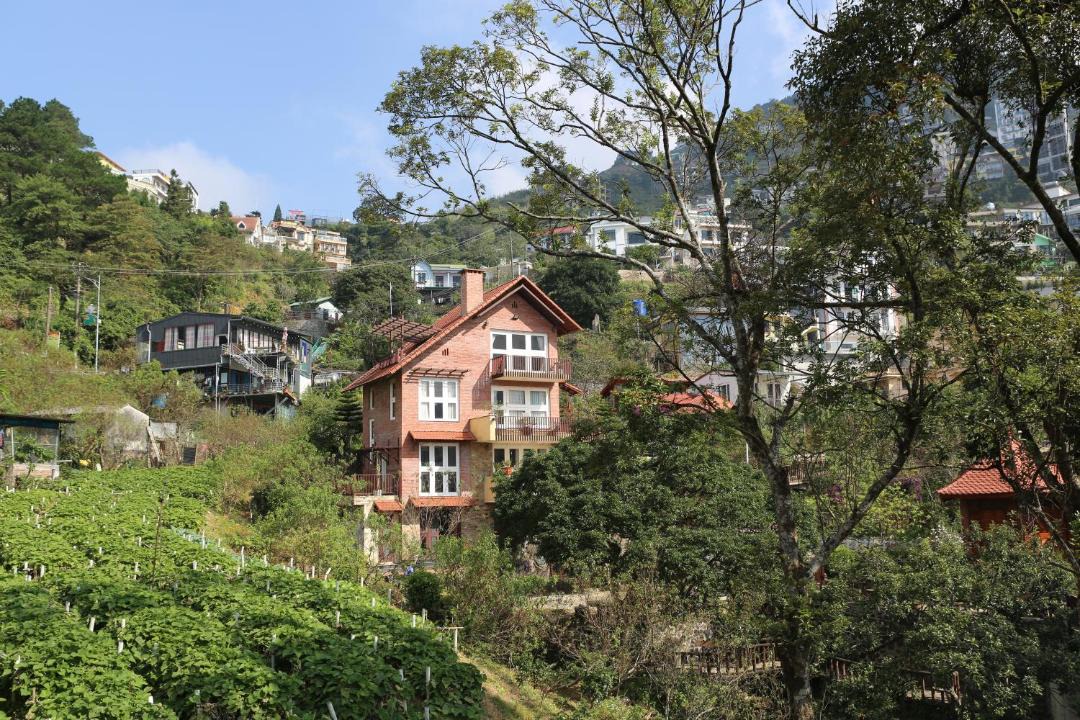 Photo of Others in Tam Dao