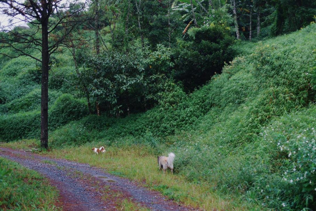 Photo of Others in Tam Dao