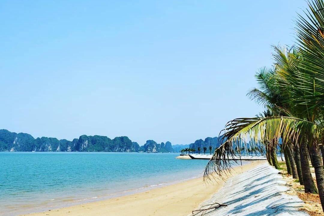 Photo of Others in Ha Long