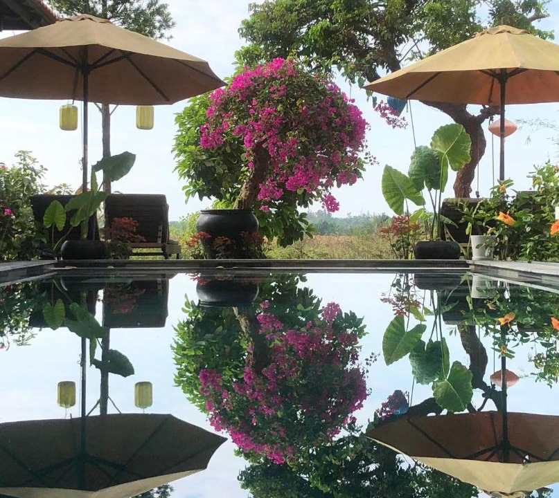 Photo of Others in Hoi An