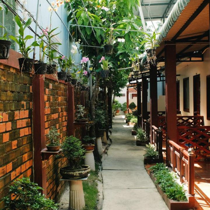 Photo of Others in Duong Dong
