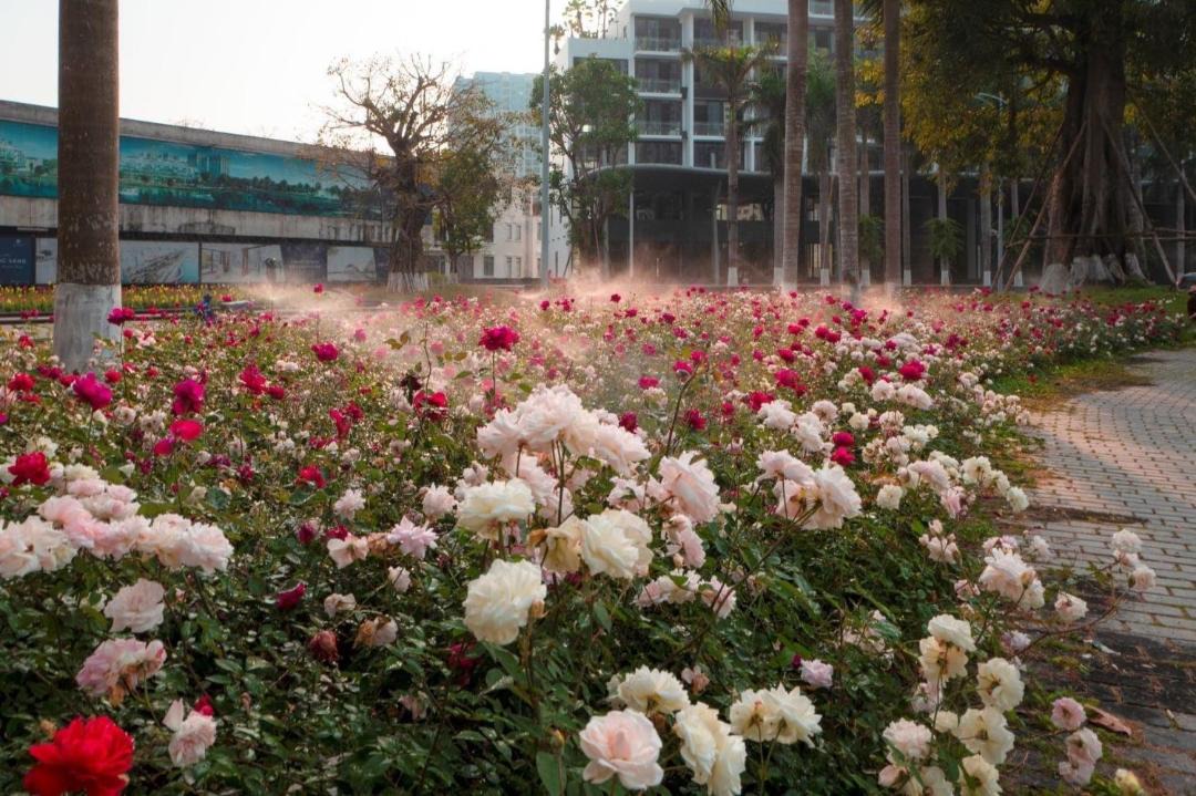 Photo of Others in Van Giang