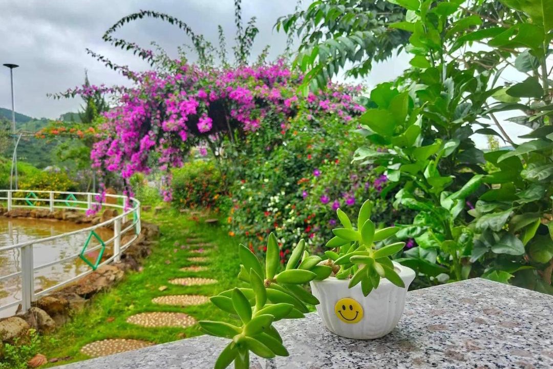 Photo of Others in Da Lat