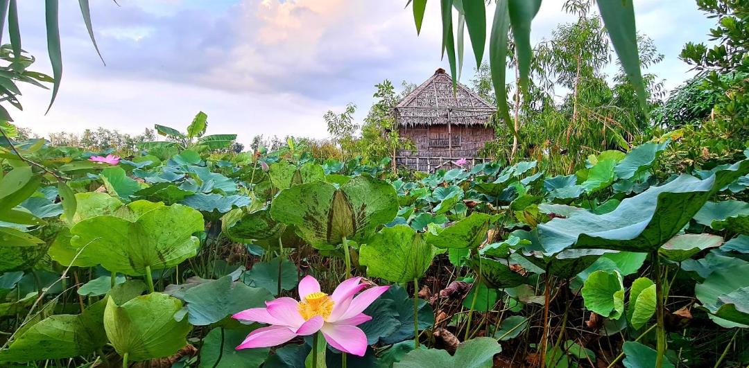 Photo of Others in Tam Nong