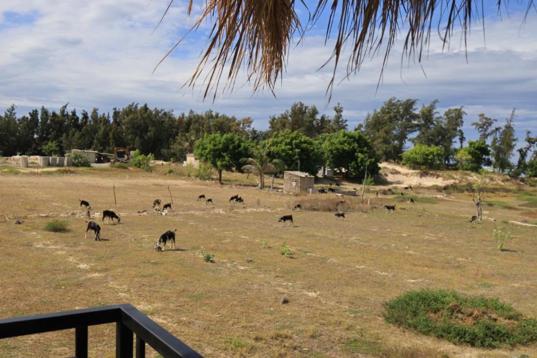 Photo of Others in Ninh Hai