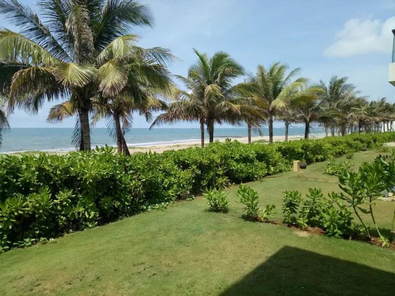 Photo of Others in Long Hai