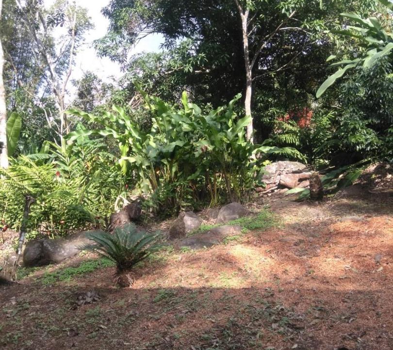 Photo of Outdoor in Catemaco