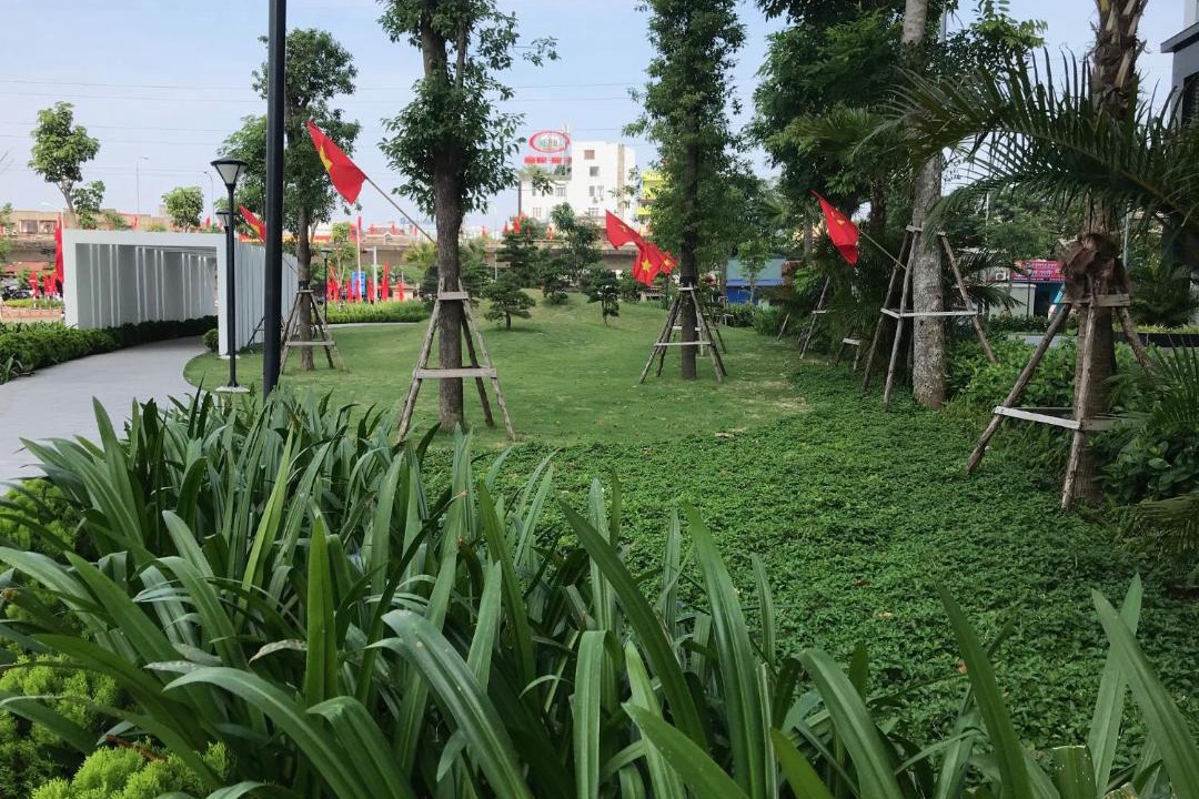 Photo of Others in Ngo Quyen