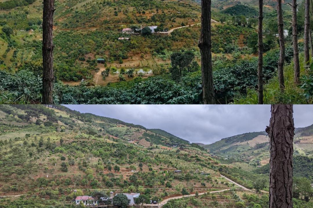 Photo of Others in Da Lat