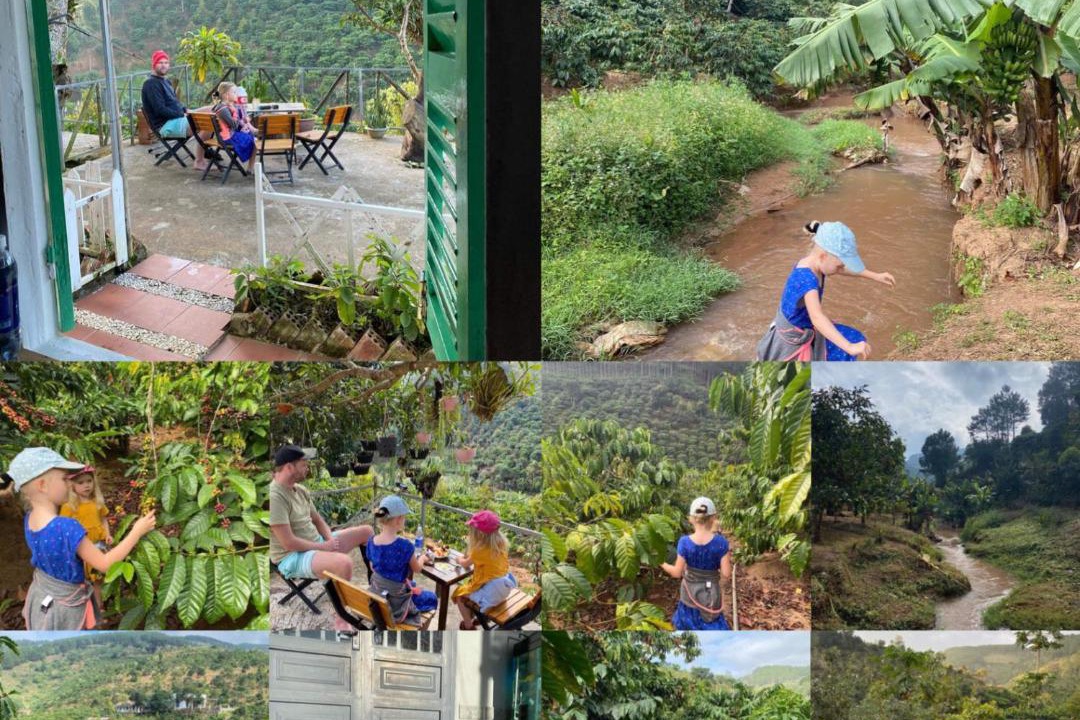 Photo of Others in Da Lat