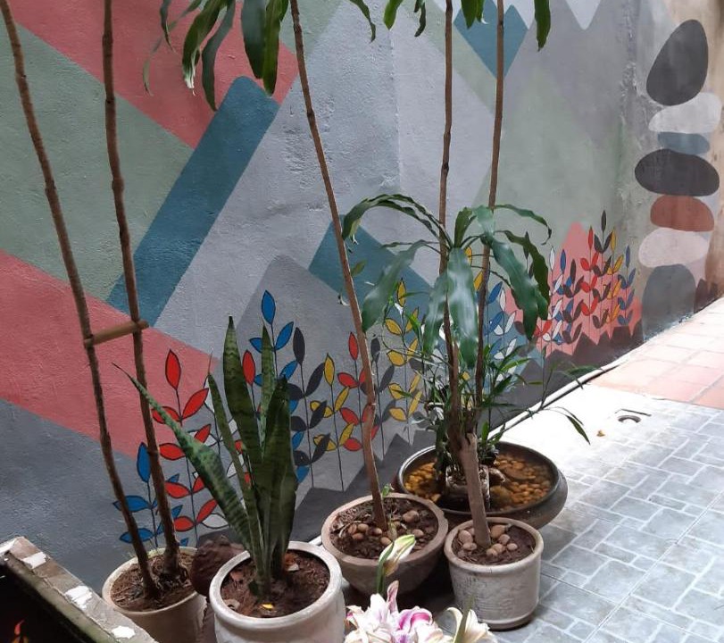 Photo of Others in Bui Thi Xuan