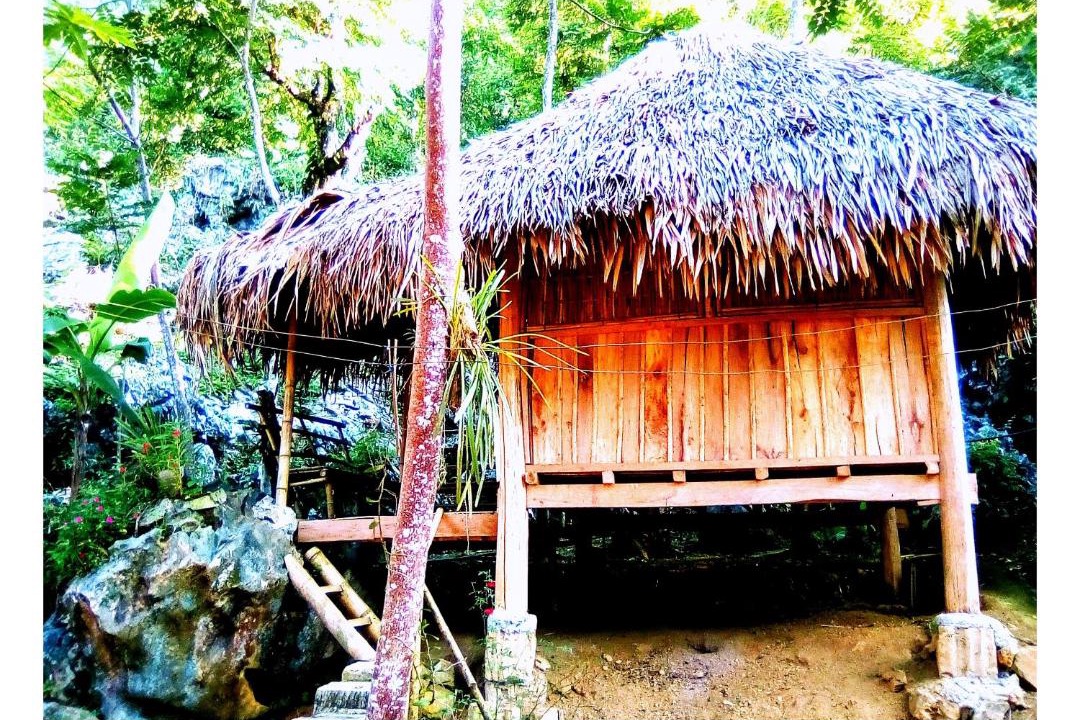 Photo of Others in Pu Long Nature Reserve