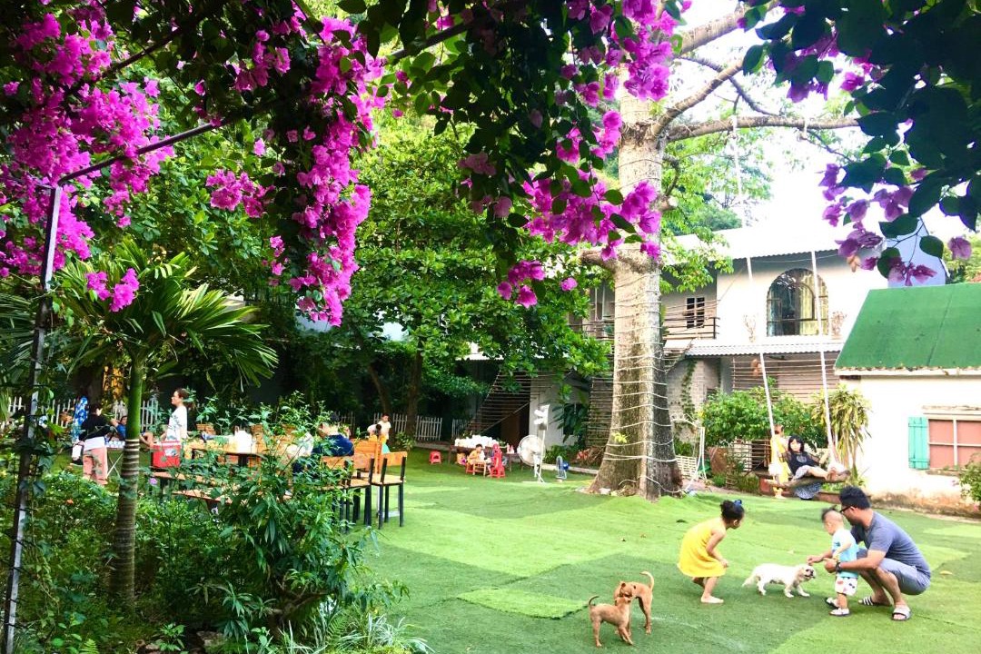 Photo of Others in Hoa Lu