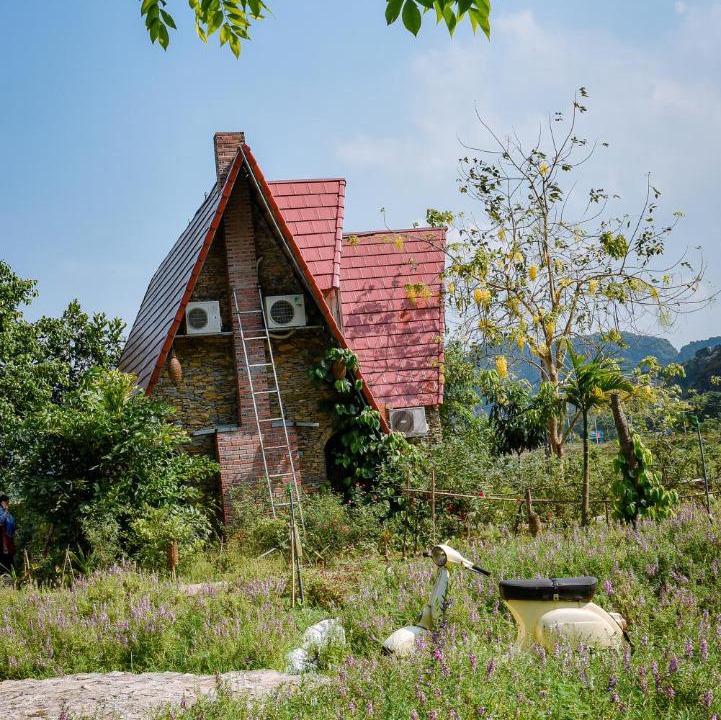 Photo of Others in Hoa Lu