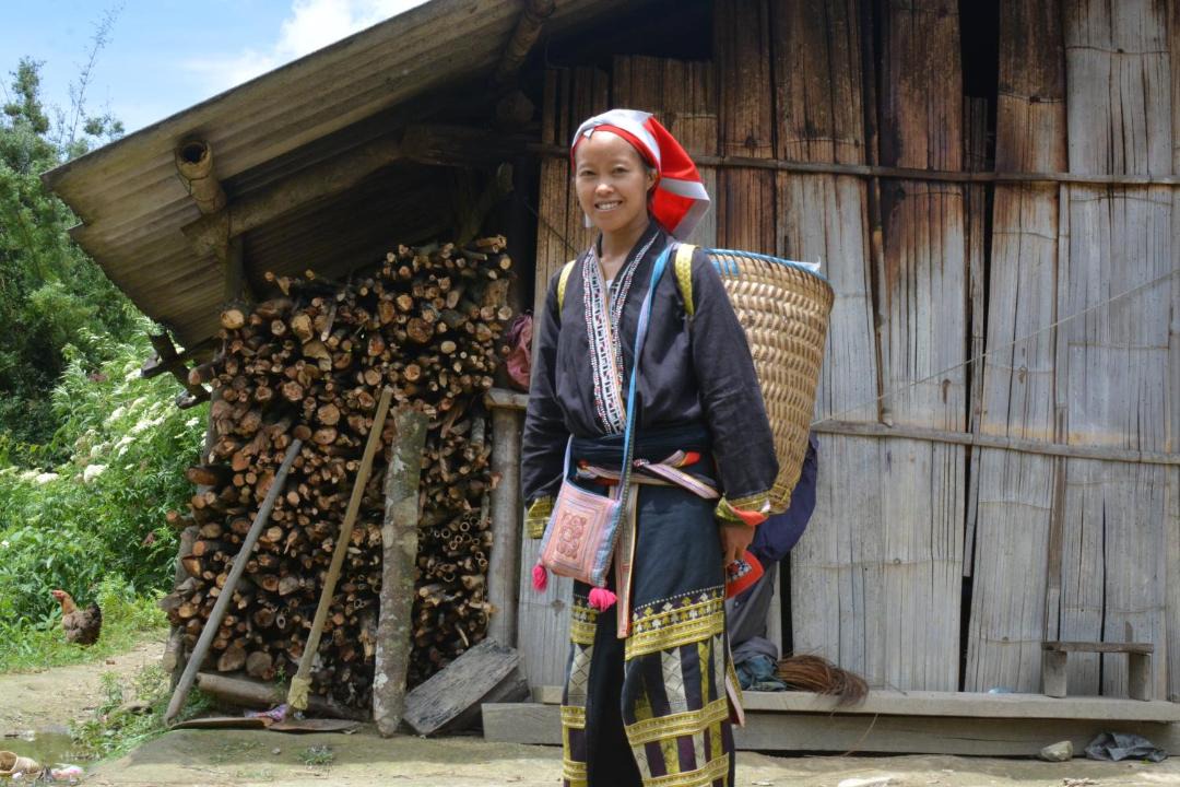 Photo of Others in Lao Cai