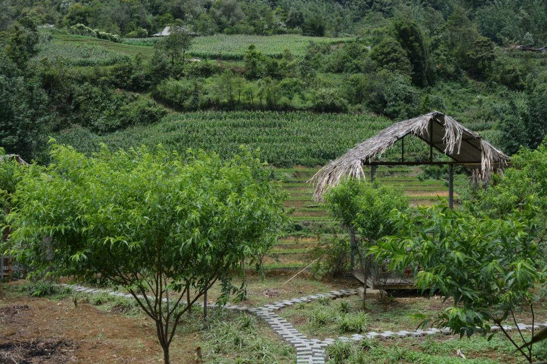 Photo of Outdoor in Lao Cai
