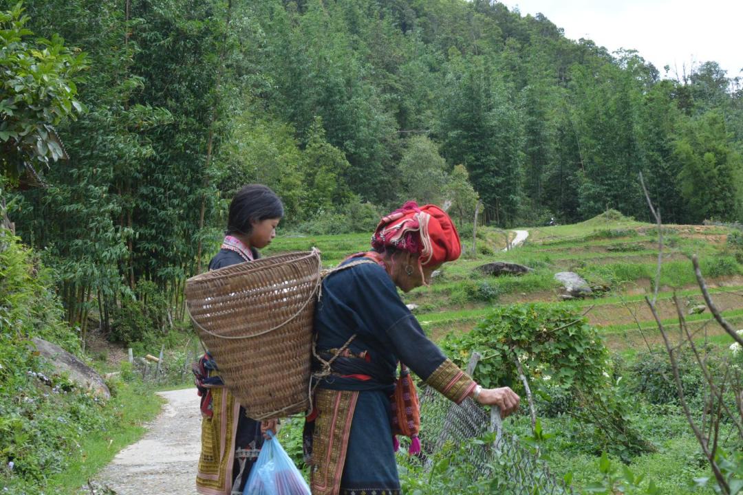 Photo of Human In Picture in Lao Cai