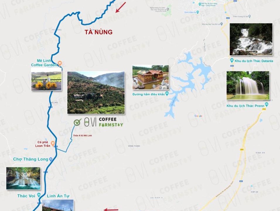 Photo of Others in Da Lat