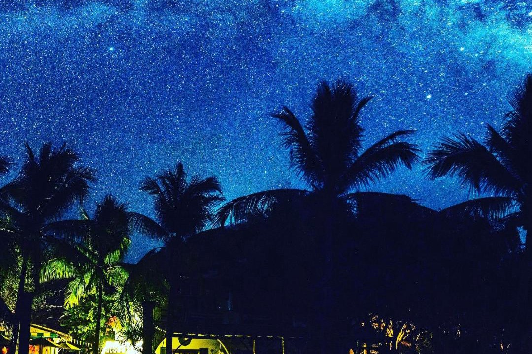 Photo of Others in Troncones