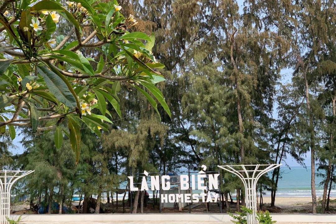 Photo of Others in Son Tinh