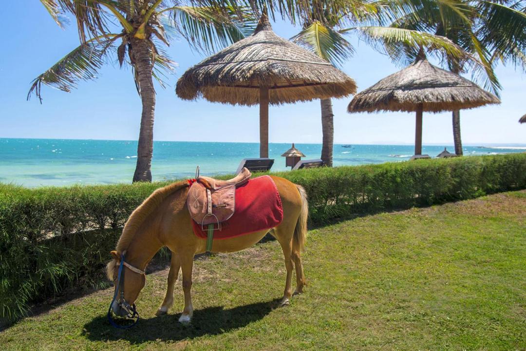 Photo of Others in Phu Hai Beach