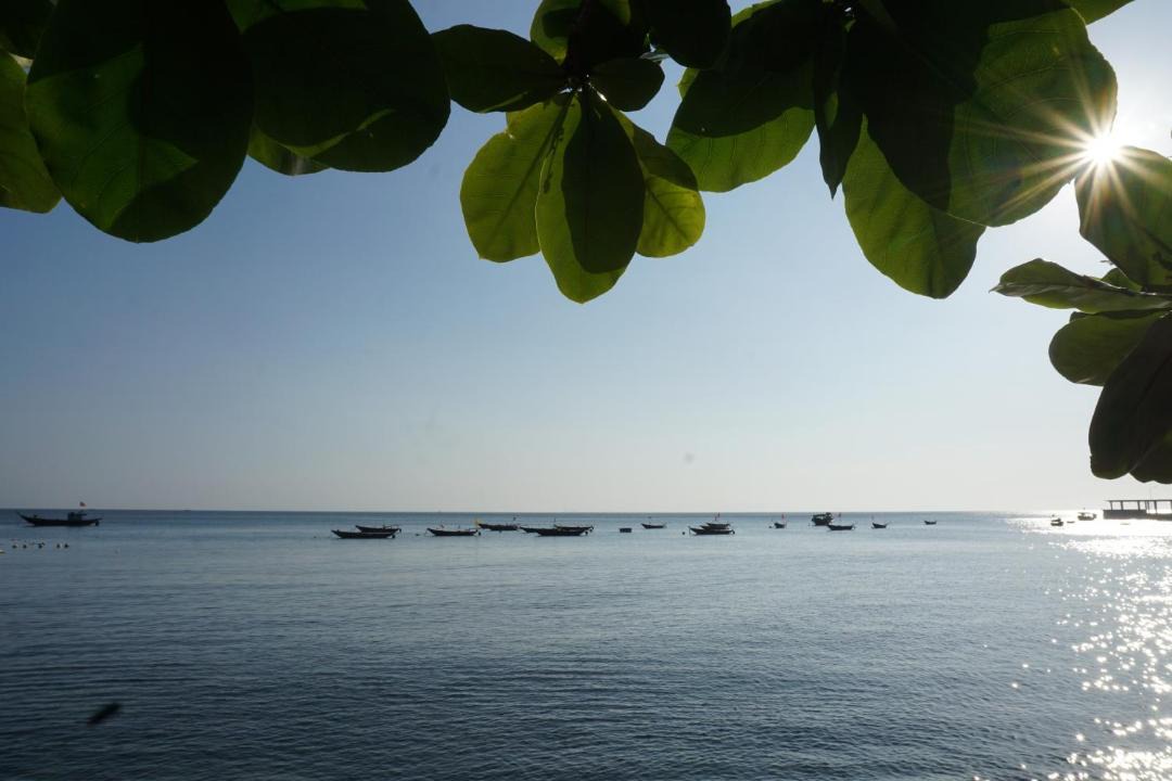 Photo of Others in Cham Island