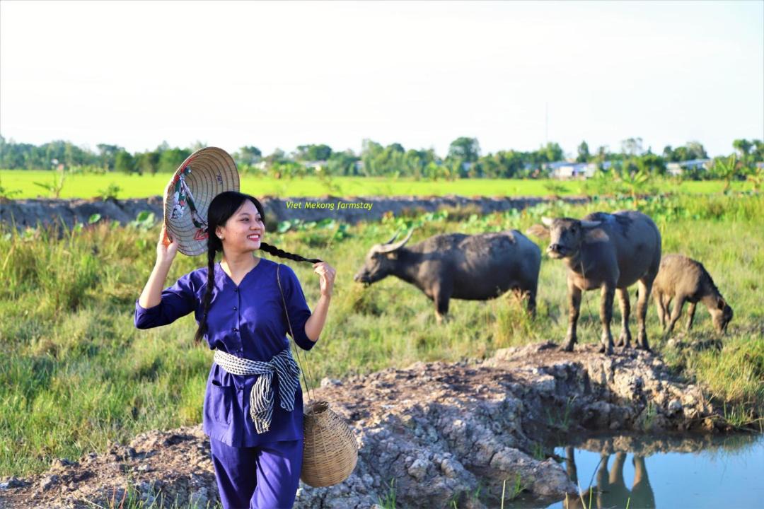 Photo of Others in Tam Nong